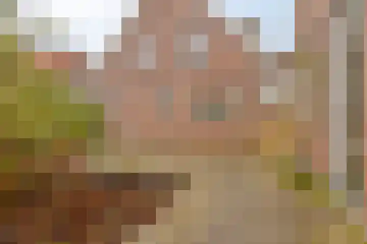 Jacob Catsstraat 17 Middelburg thumbnail 25
