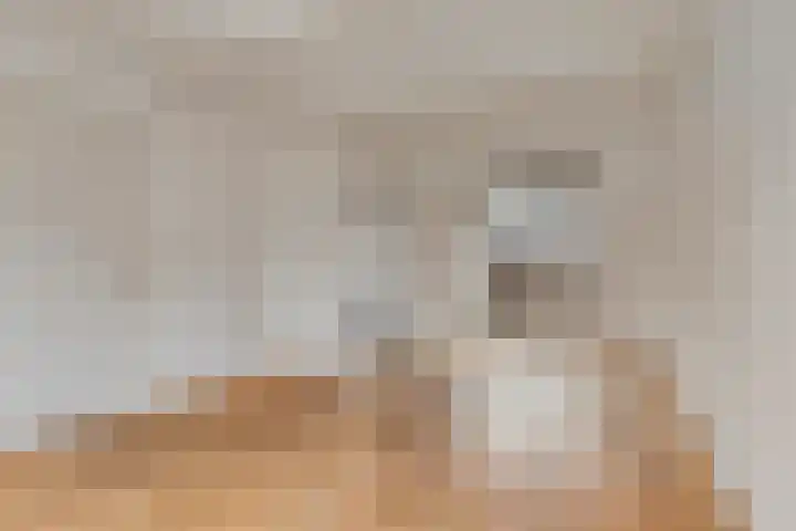 Jacob Catsstraat 17 Middelburg thumbnail 6