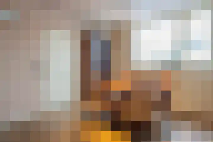 Jacob Catsstraat 17 Rijssen thumbnail 12