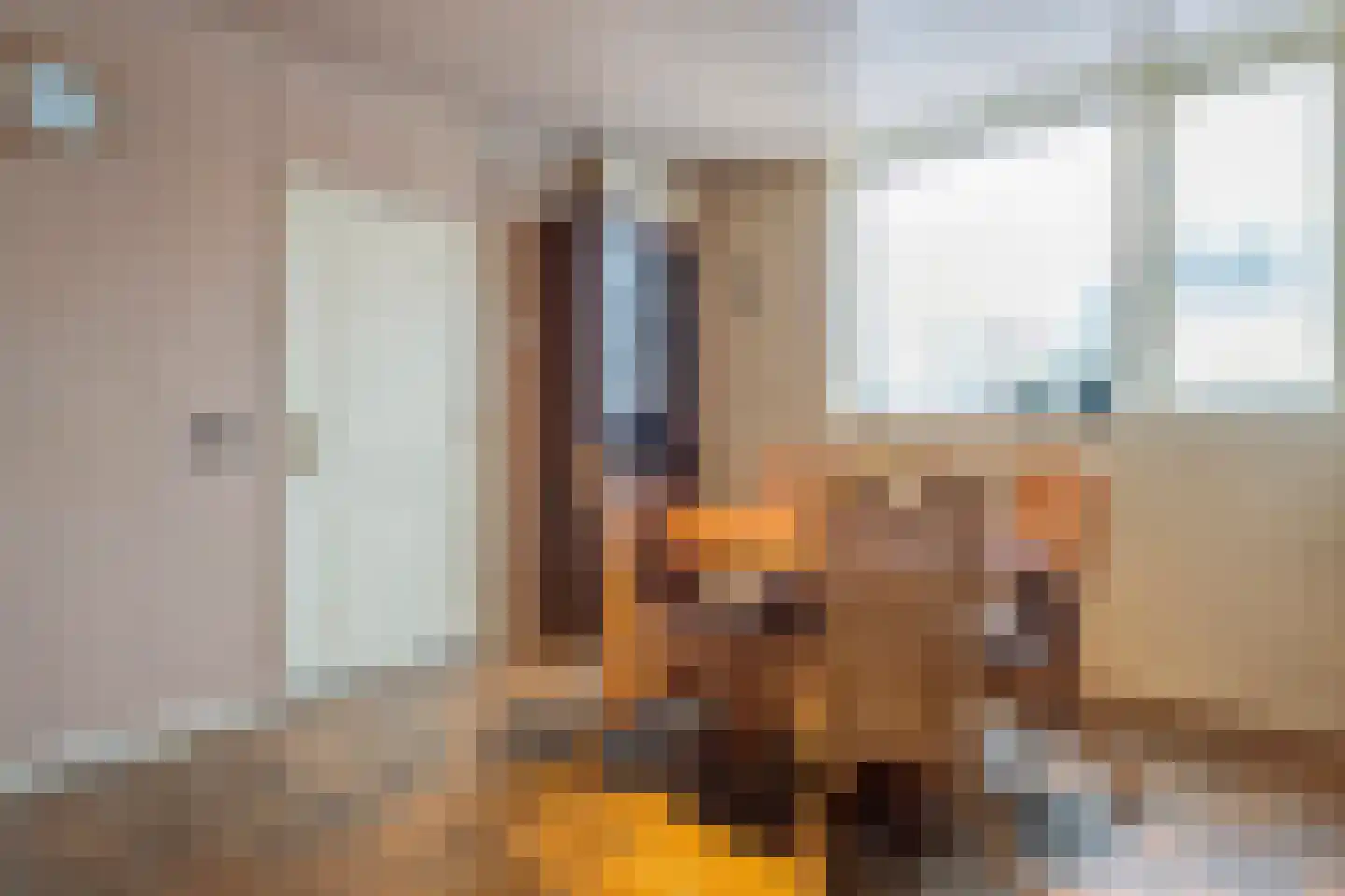 Jacob Catsstraat 17 Rijssen thumbnail 12