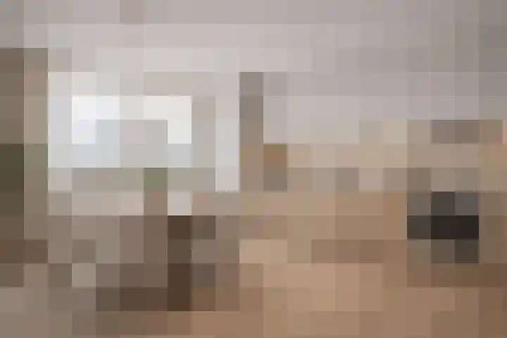 Jacob Catsstraat 17 Rijssen thumbnail 14