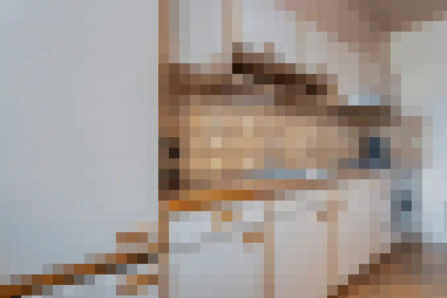 Jacob Catsstraat 17 Rijssen thumbnail 15