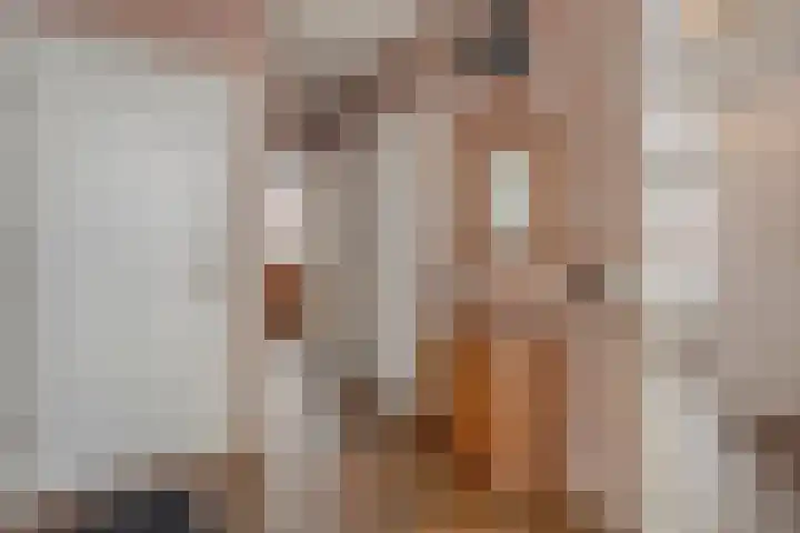Jacob Catsstraat 17 Rijssen thumbnail 16