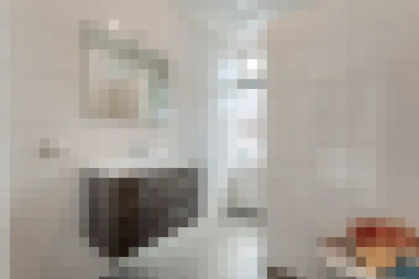 Jacob Catsstraat 17 Rijssen thumbnail 19