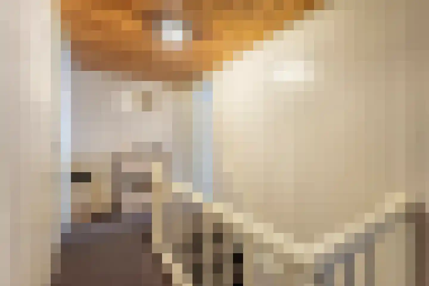 Jacob Catsstraat 17 Rijssen thumbnail 23
