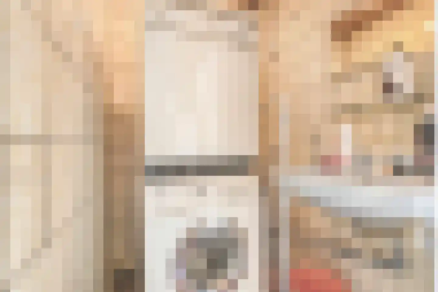Jacob Catsstraat 17 Rijssen thumbnail 32