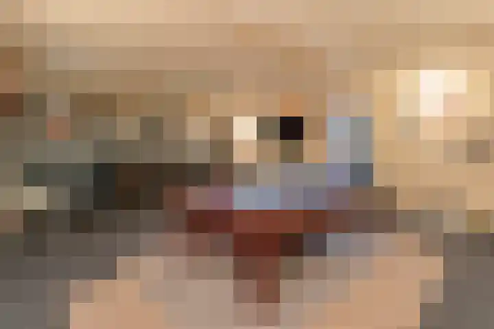 Jacob Catsstraat 17 Rijssen thumbnail 33