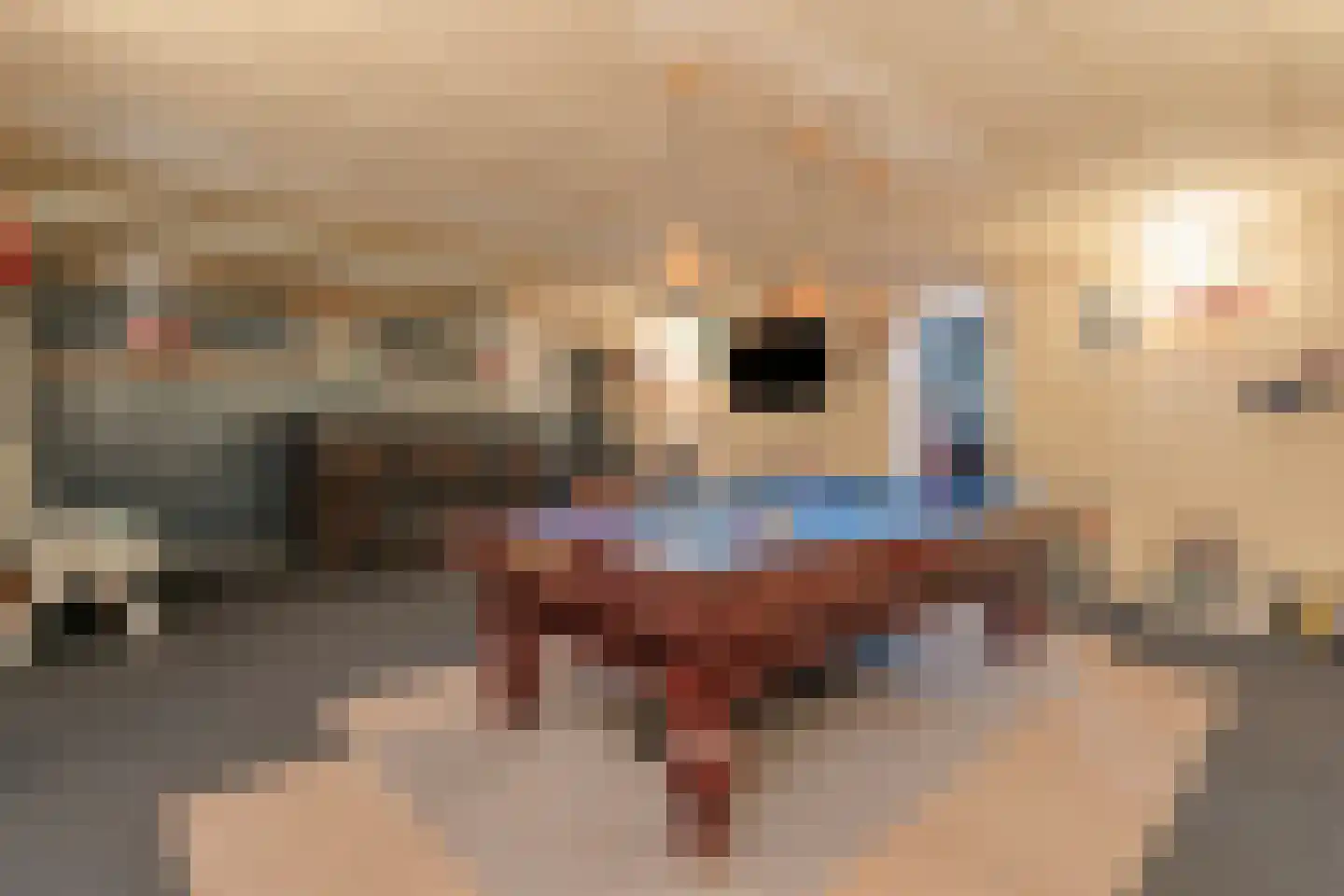 Jacob Catsstraat 17 Rijssen thumbnail 33