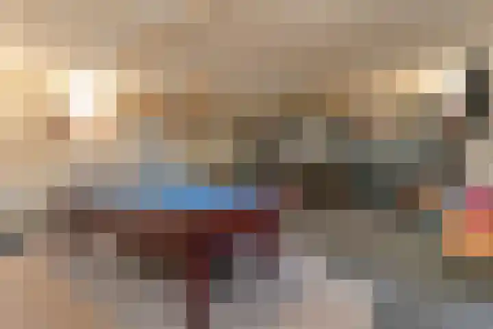 Jacob Catsstraat 17 Rijssen thumbnail 34