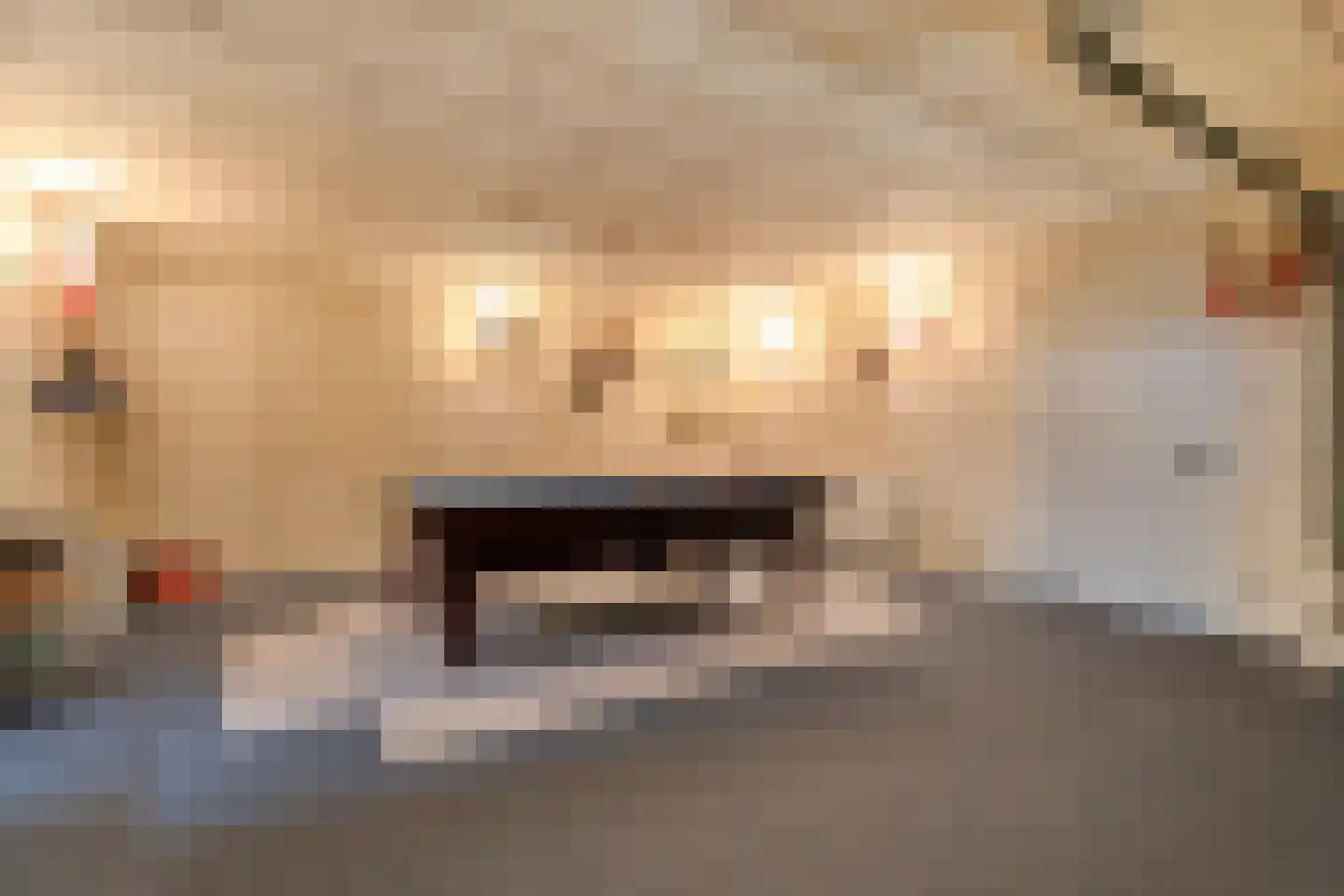 Jacob Catsstraat 17 Rijssen thumbnail 35