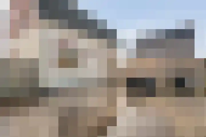 Jacob Catsstraat 17 Rijssen thumbnail 37