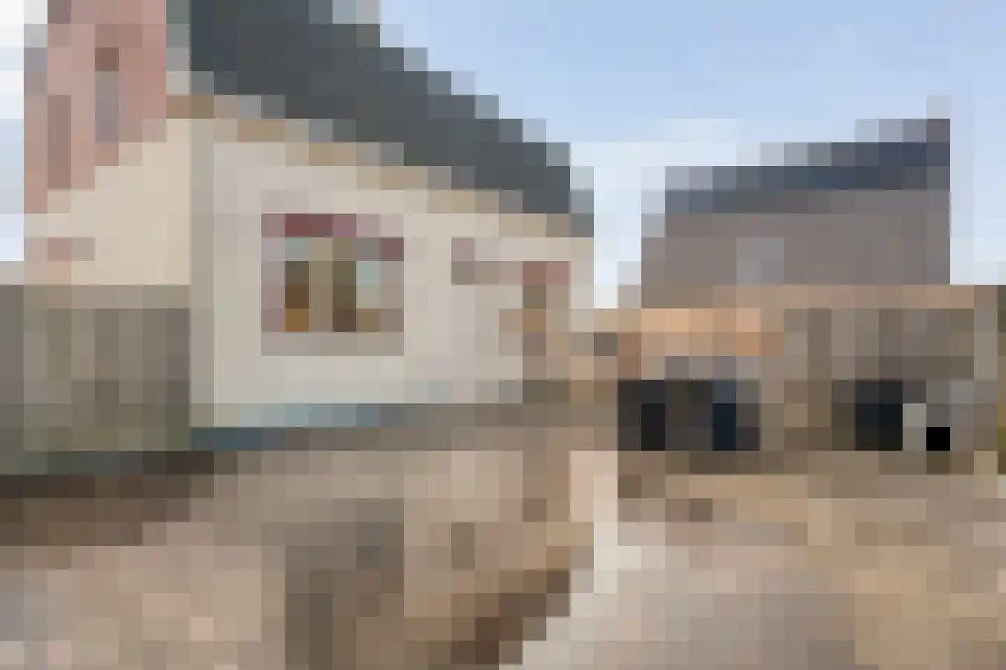 Jacob Catsstraat 17 Rijssen thumbnail 37