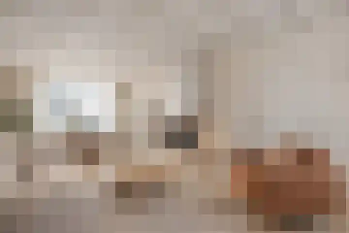 Jacob Catsstraat 17 Rijssen thumbnail 7