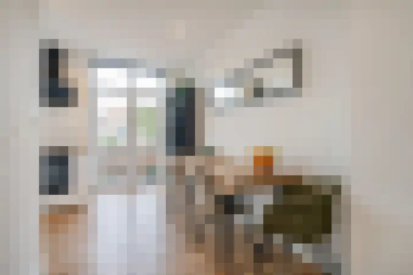 Jacob Catsstraat 19 Delft thumbnail 11