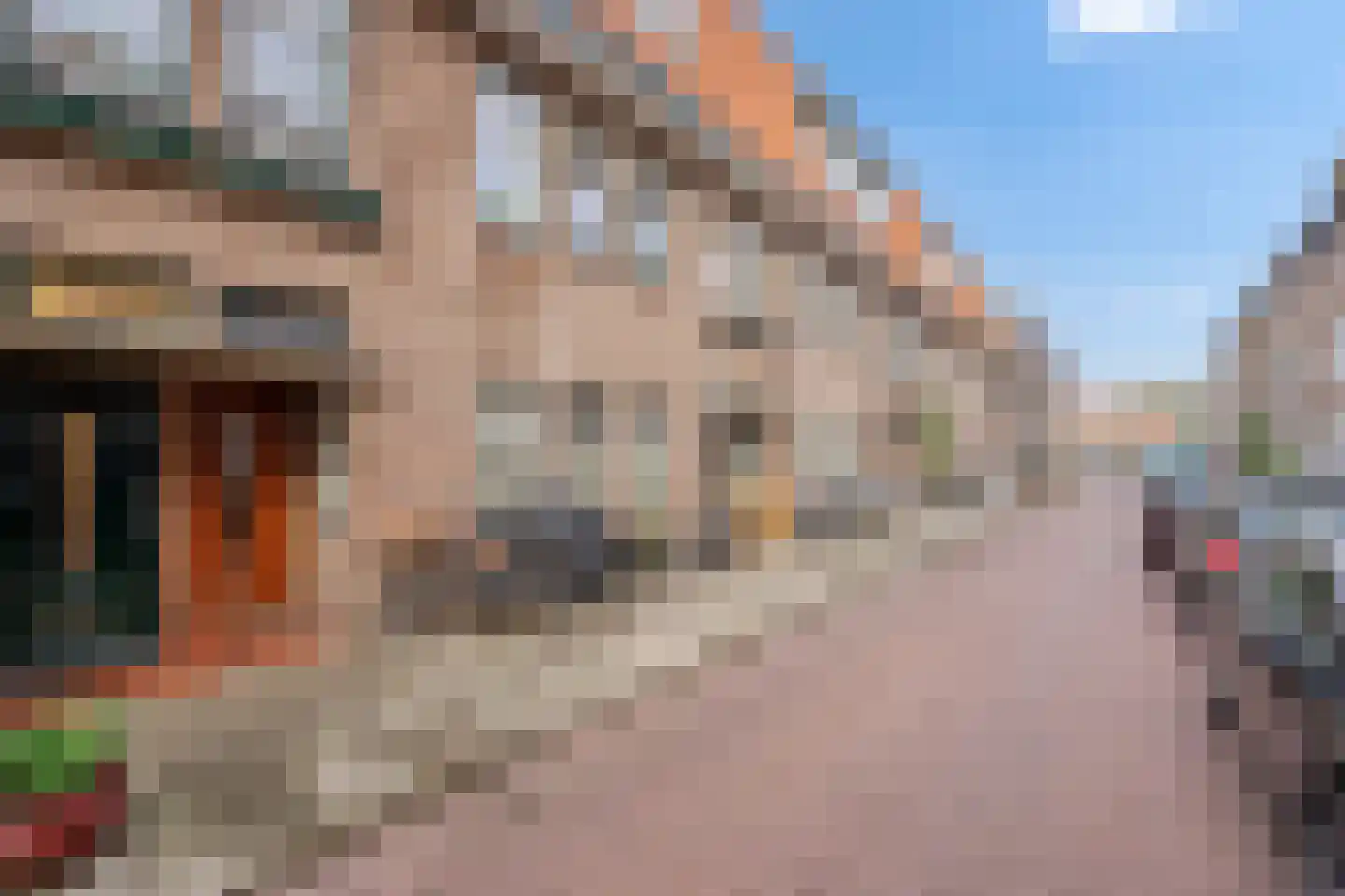 Jacob Catsstraat 19 Delft thumbnail 6