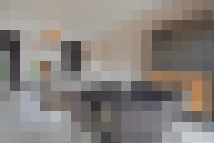 Jacob Catsstraat 2 Biervliet thumbnail 12