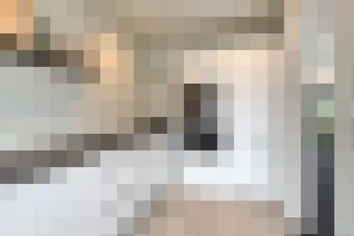 Jacob Catsstraat 2 Biervliet thumbnail 18