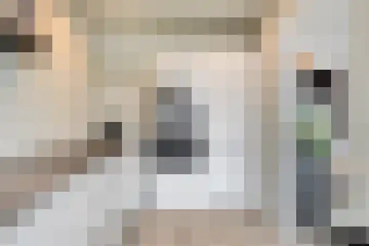 Jacob Catsstraat 2 Biervliet thumbnail 19