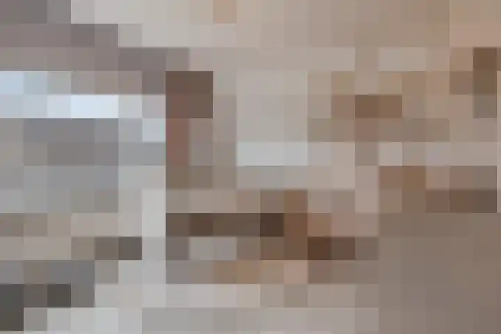Jacob Catsstraat 2 Biervliet thumbnail 4