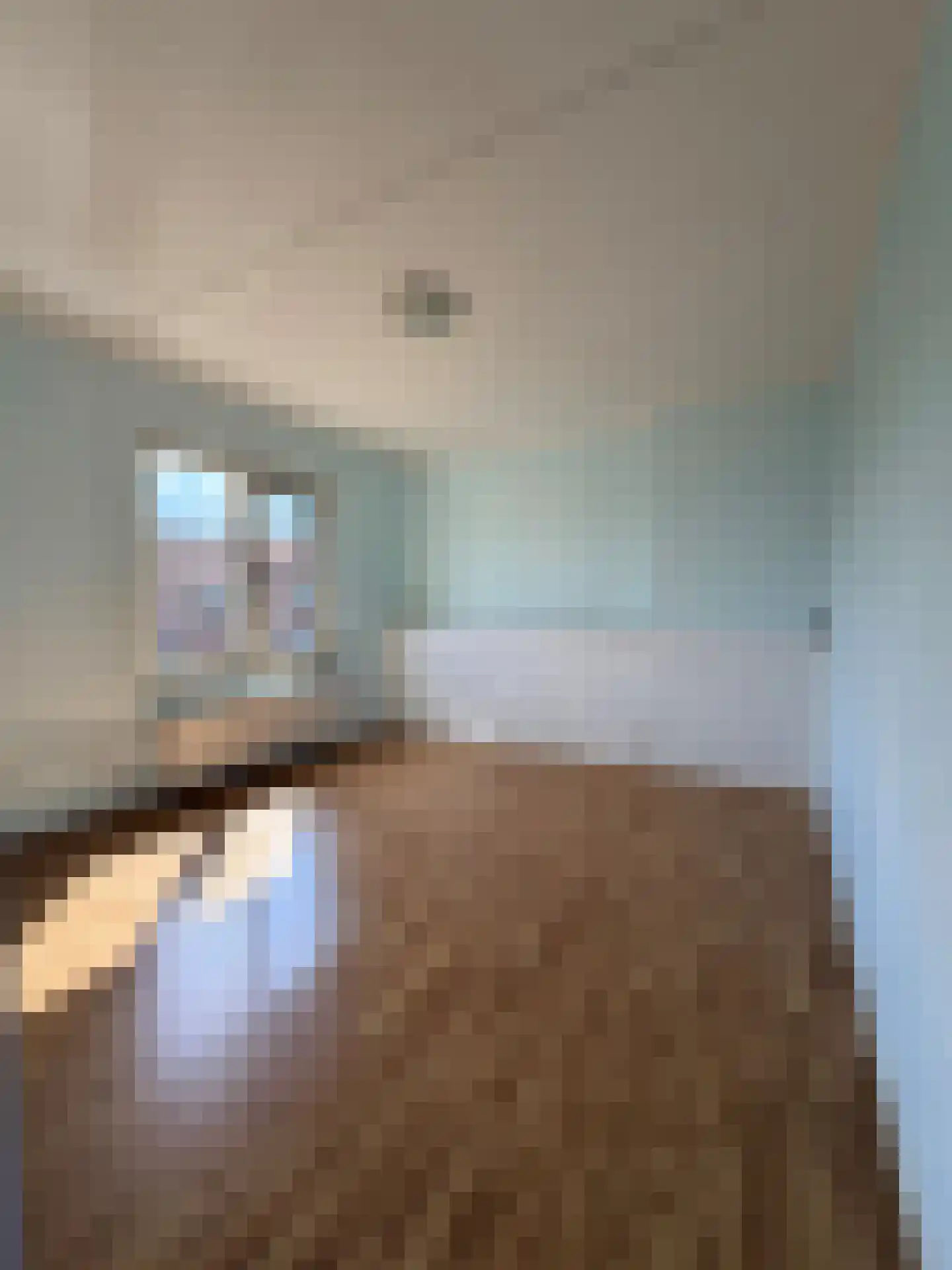 Jacob Catsstraat 2 Brunssum thumbnail 17
