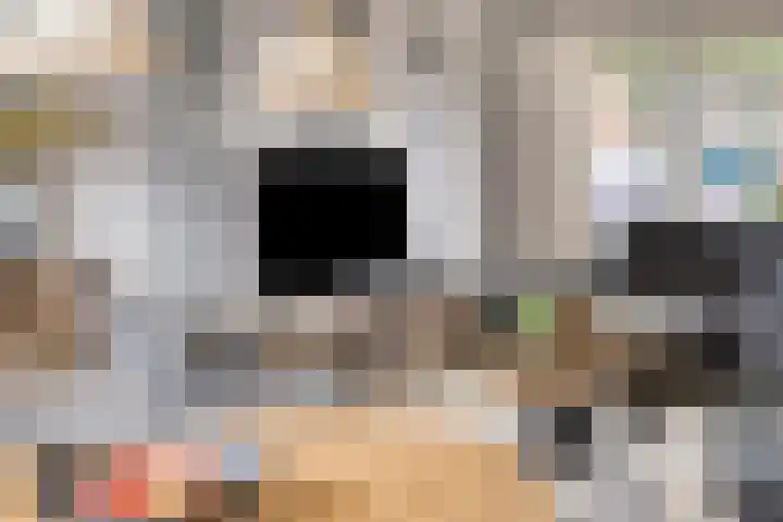 Jacob Catsstraat 2 Kampen thumbnail 10