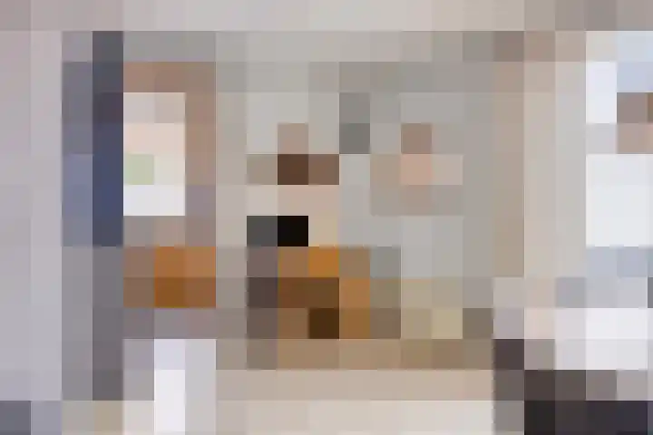 Jacob Catsstraat 2 Kampen thumbnail 11