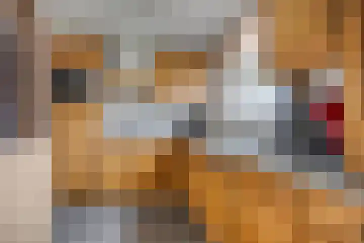 Jacob Catsstraat 2 Kampen thumbnail 13