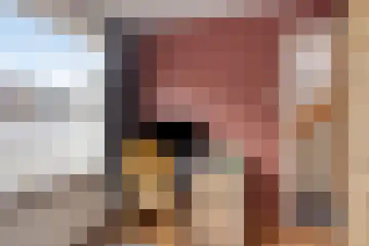 Jacob Catsstraat 2 Kampen thumbnail 17
