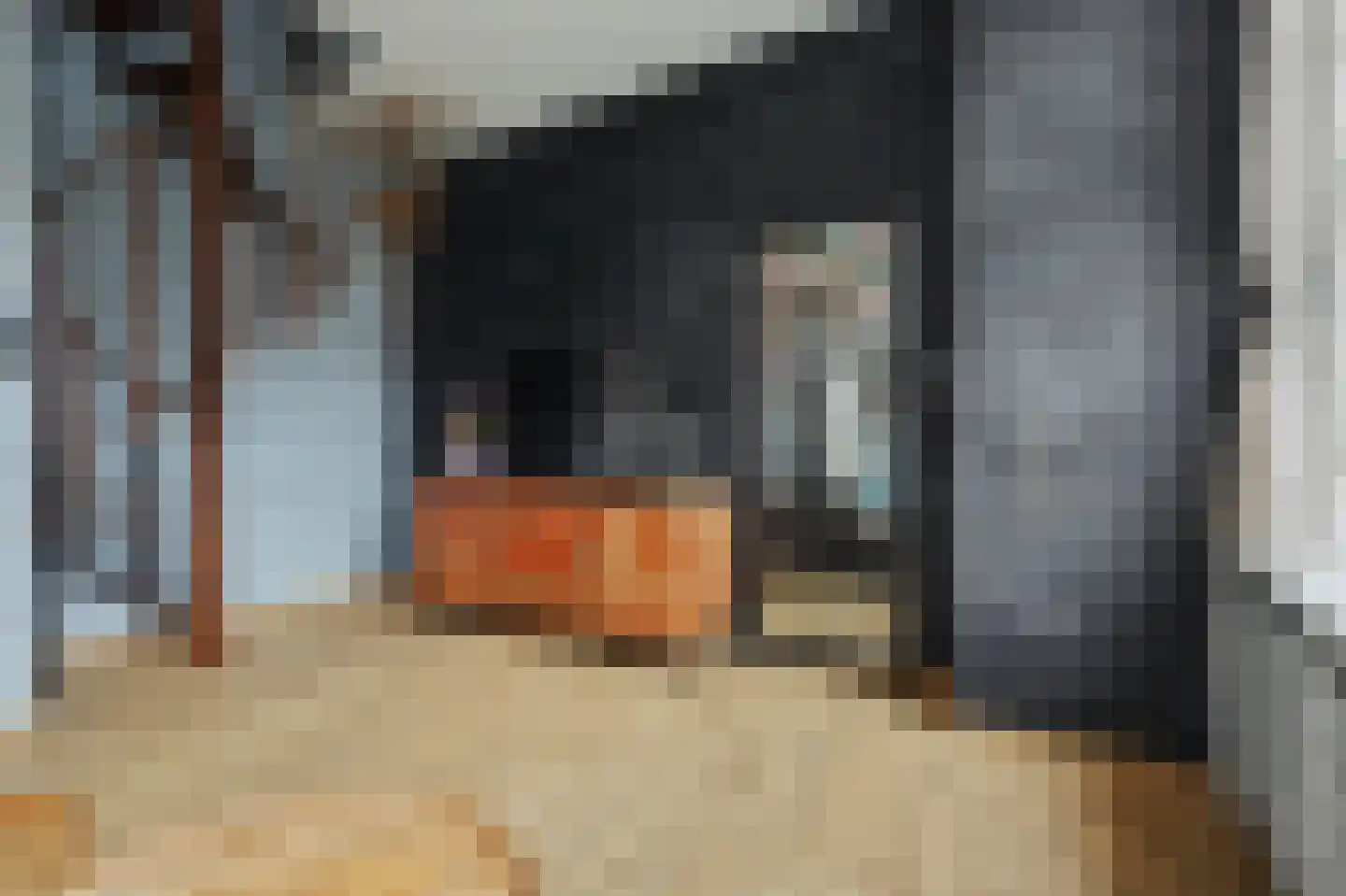 Jacob Catsstraat 2 Middelburg thumbnail 10