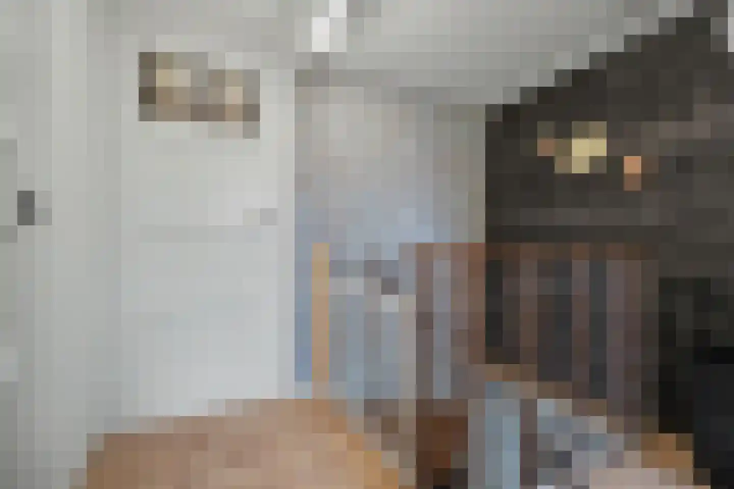 Jacob Catsstraat 2 Middelburg thumbnail 19