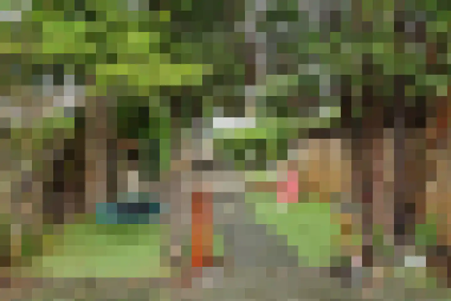 Jacob Catsstraat 2 Middelburg thumbnail 36