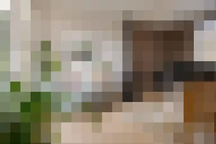 Jacob Catsstraat 2 Zwolle thumbnail 10