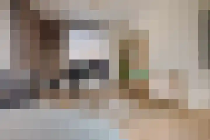 Jacob Catsstraat 2 Zwolle thumbnail 12