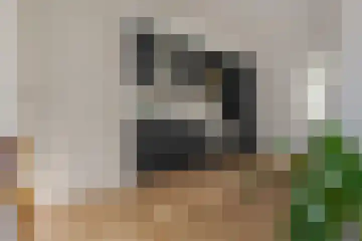 Jacob Catsstraat 2 Zwolle thumbnail 14