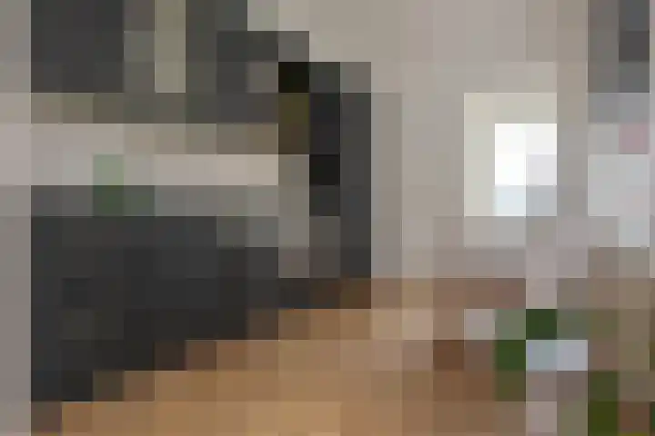 Jacob Catsstraat 2 Zwolle thumbnail 15