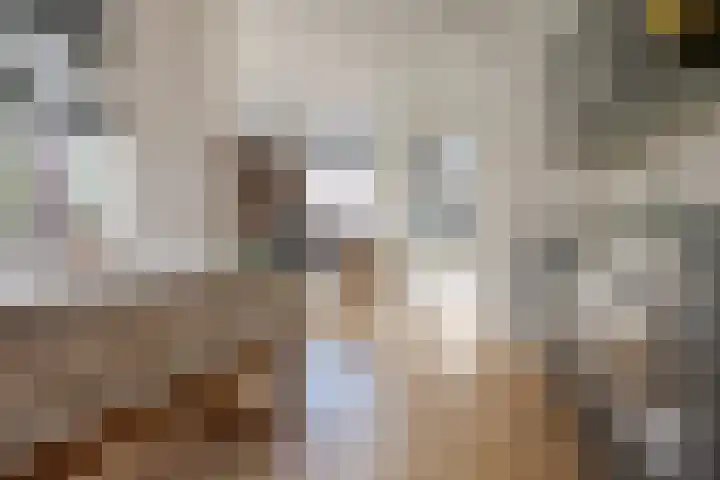 Jacob Catsstraat 2 Zwolle thumbnail 16