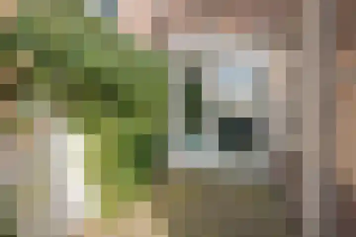 Jacob Catsstraat 2 Zwolle thumbnail 20
