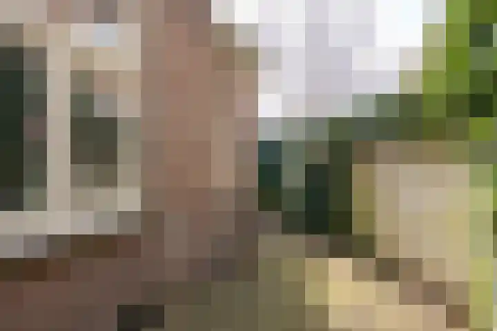 Jacob Catsstraat 2 Zwolle thumbnail 22