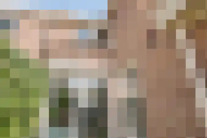 Jacob Catsstraat 2 Zwolle thumbnail 24
