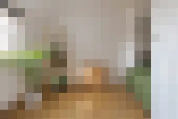 Jacob Catsstraat 2 Zwolle thumbnail 27