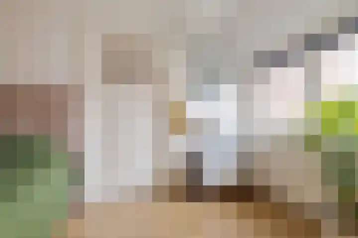 Jacob Catsstraat 2 Zwolle thumbnail 29