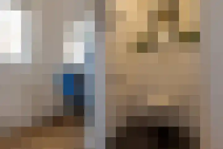 Jacob Catsstraat 2 Zwolle thumbnail 37