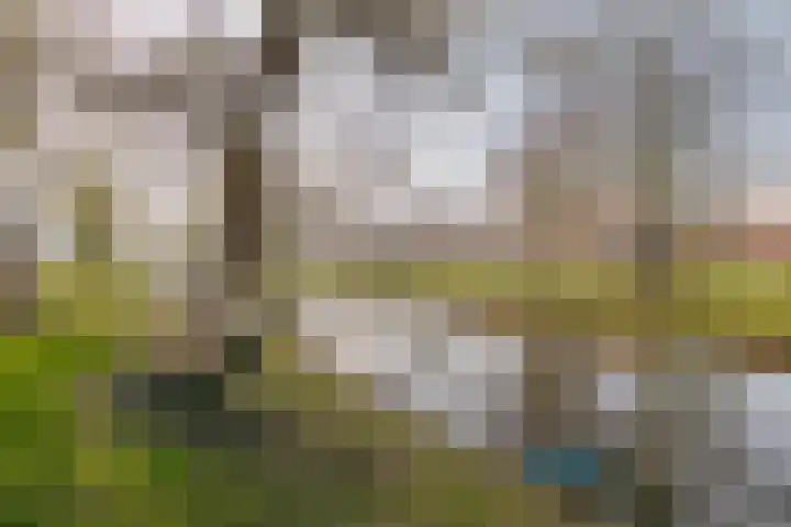 Jacob Catsstraat 2 Zwolle thumbnail 40