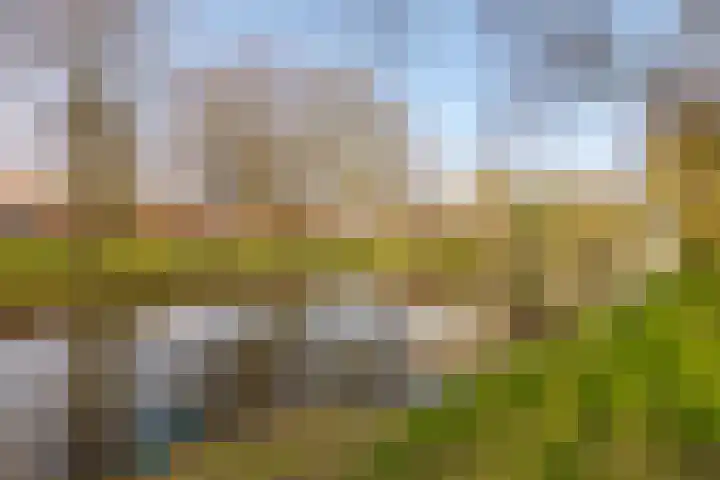 Jacob Catsstraat 2 Zwolle thumbnail 5
