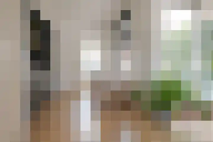 Jacob Catsstraat 2 Zwolle thumbnail 8