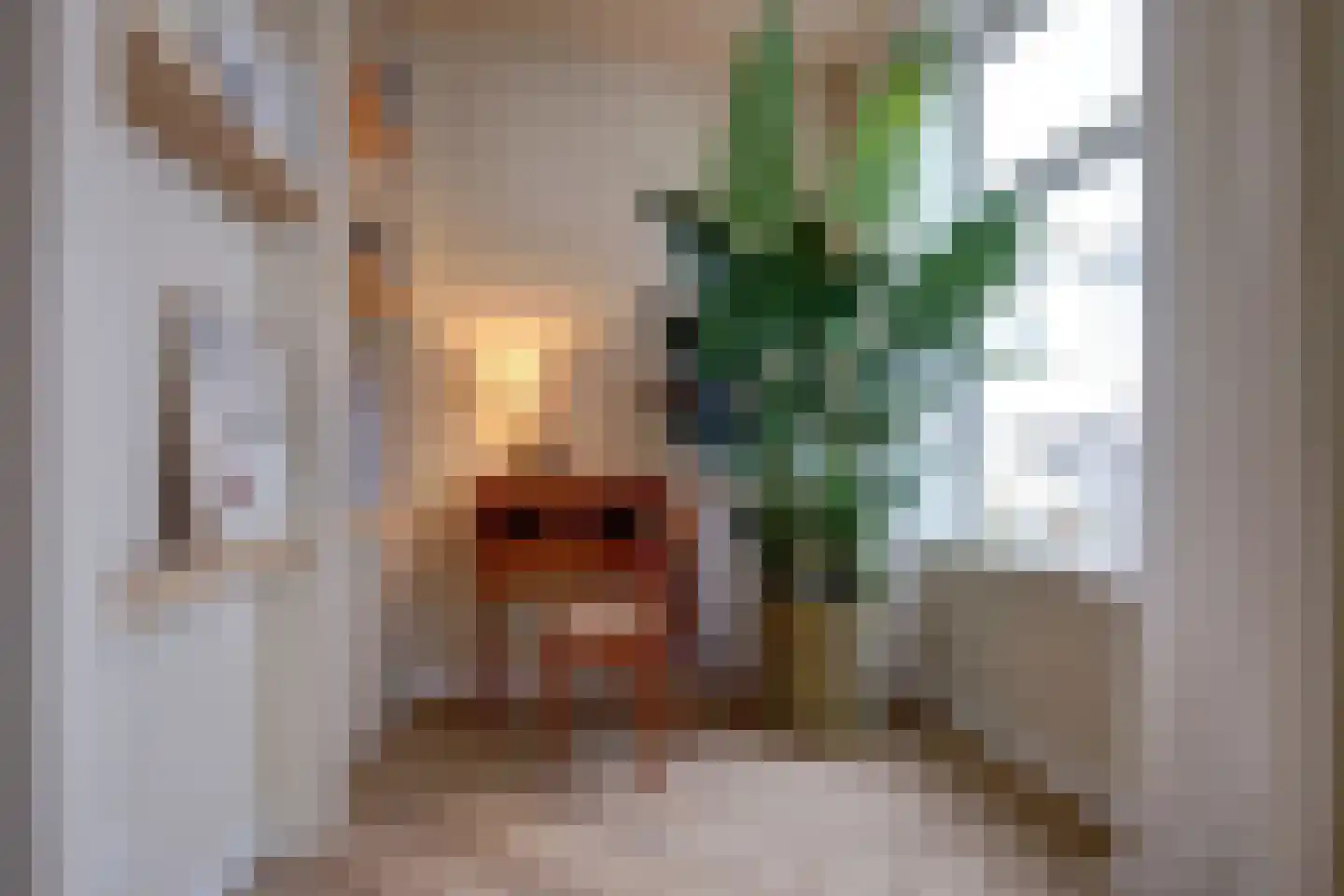 Jacob Catsstraat 23 BS Utrecht thumbnail 8