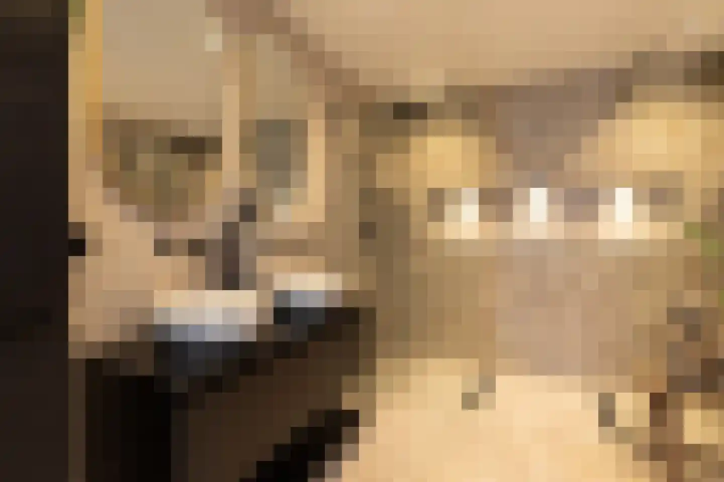 Jacob Catsstraat 23 Hilversum thumbnail 23