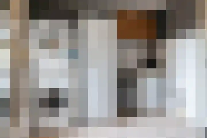 Jacob Catsstraat 24 Kesteren thumbnail 15