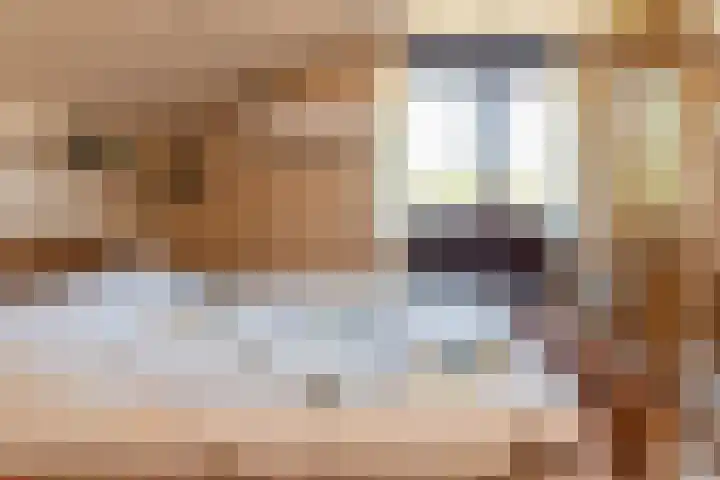Jacob Catsstraat 24 Kesteren thumbnail 17