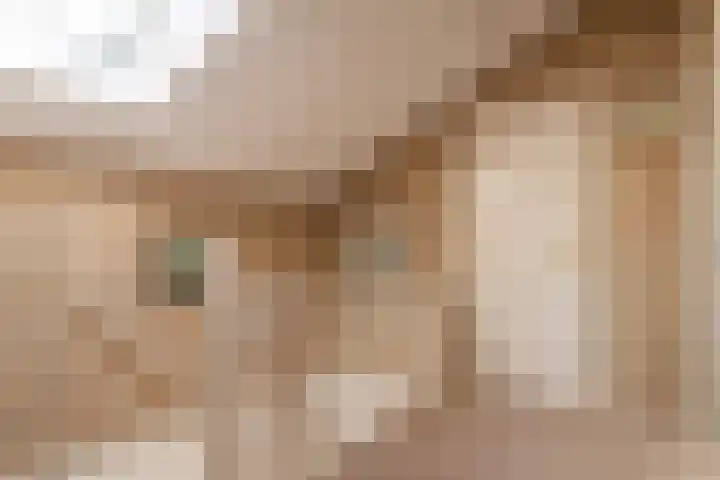 Jacob Catsstraat 24 Kesteren thumbnail 23